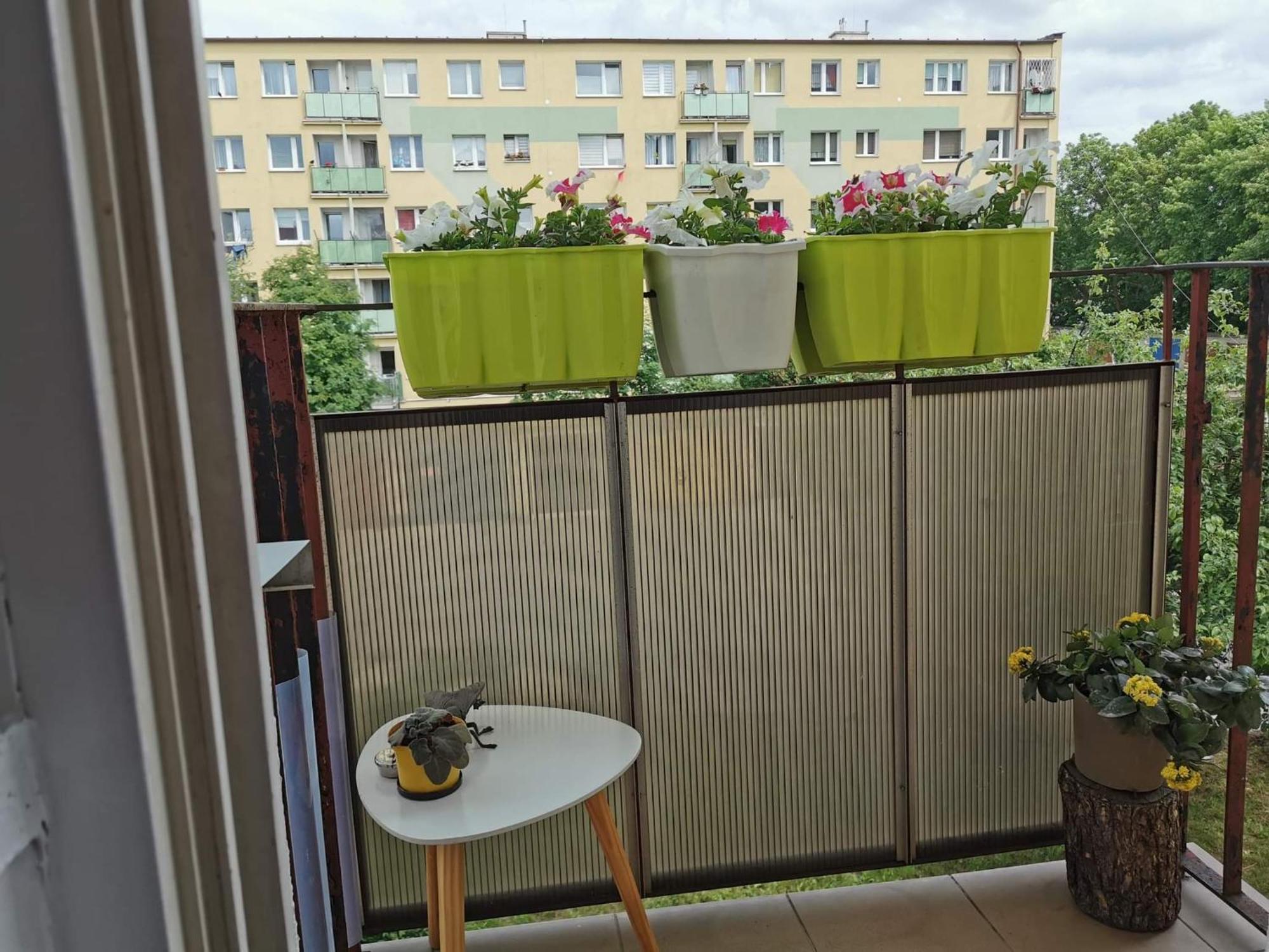 Mieszkanie Brzezno Przy Plazy Apartamento Gdańsk Exterior foto