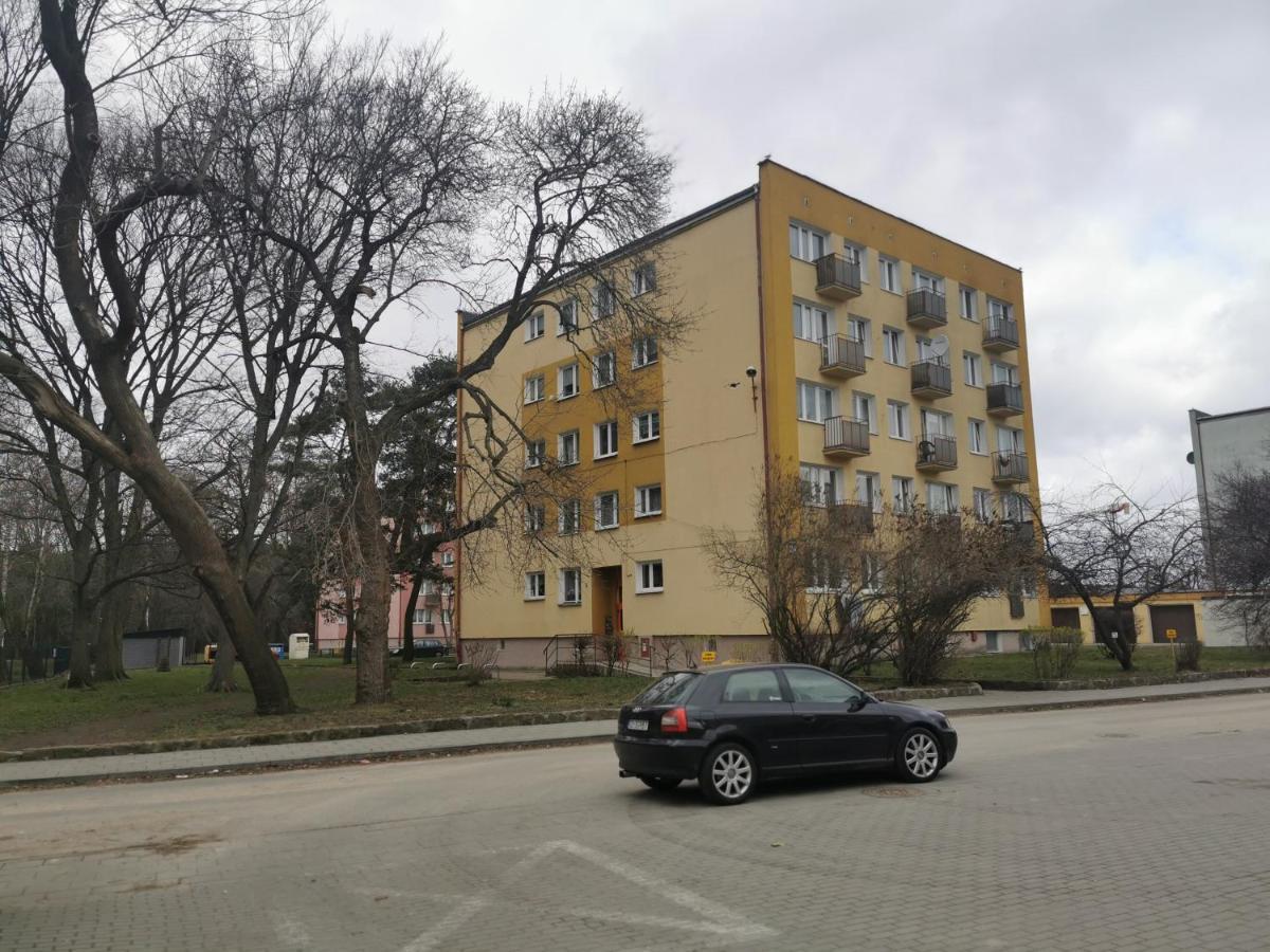 Mieszkanie Brzezno Przy Plazy Apartamento Gdańsk Exterior foto