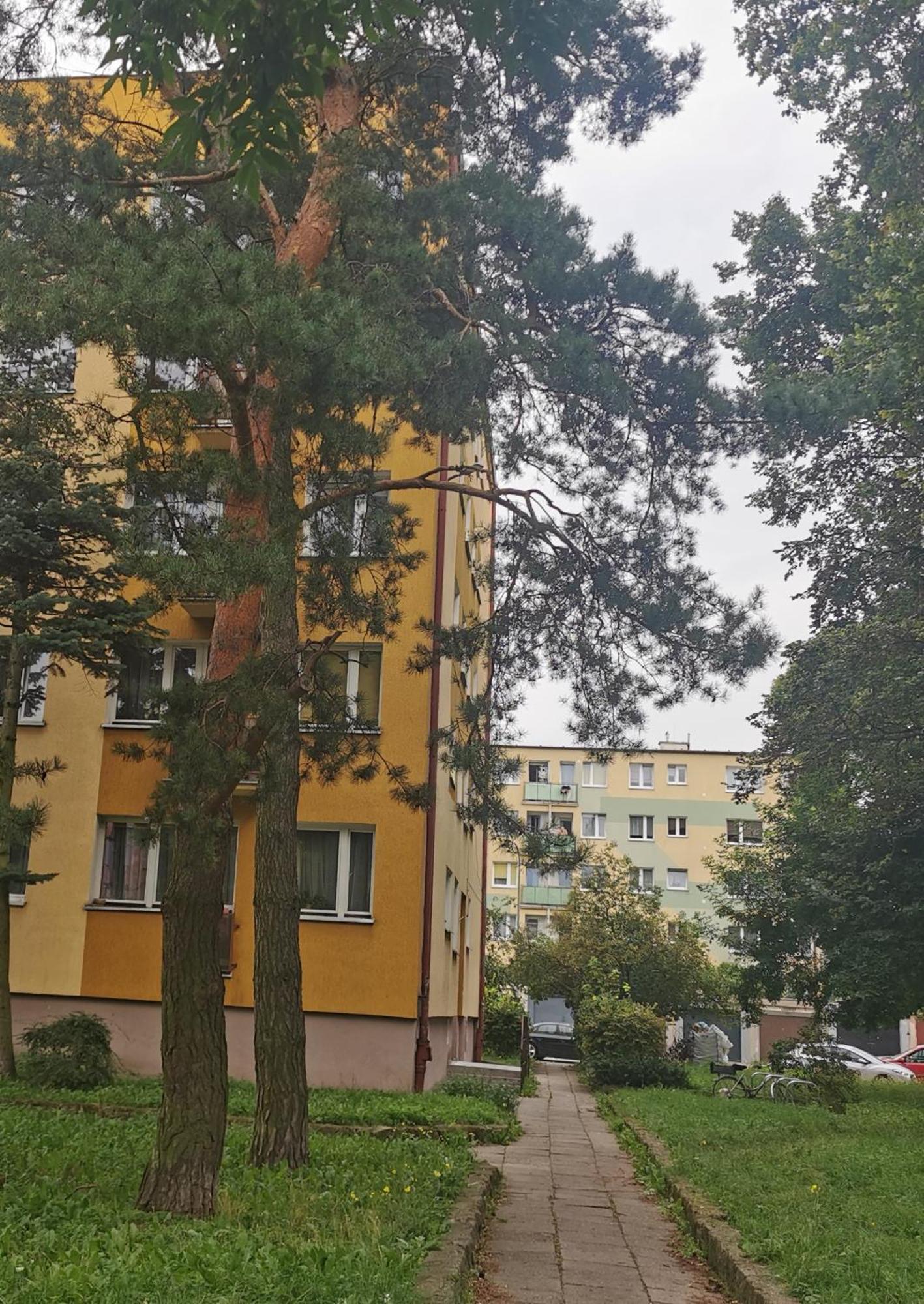 Mieszkanie Brzezno Przy Plazy Apartamento Gdańsk Exterior foto